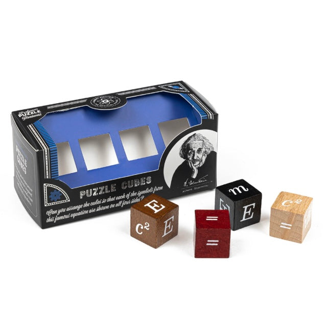 The Einstein Collection Mini Puzzles